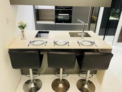 Cairnhill Nine (D9), Apartment #535065131